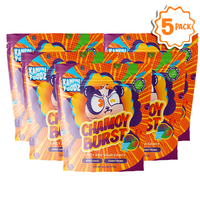 Chamoy Burst Party Pack (5 Pack)